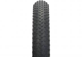 Specialized Big Roller 24 Inch Tyre 24 X 2.8 Inch
