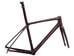 Giant Tcr Advanced Sl Frameset Non Disc Extra Large Only  2023 X-Large - Sincity