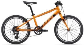 Giant ARX 20 Kids Bike 2024 20 - Metallic Green"
