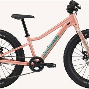 Cannondale Kids Trail Plus 20w