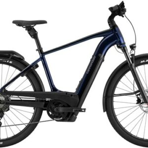 Cannondale Tesoro Neo X 1