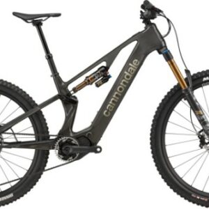 Cannondale Moterra SL 1