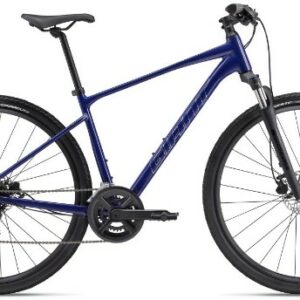 Giant Roam Disc 3
