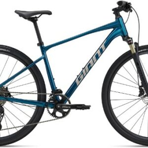 Giant Roam Disc 0