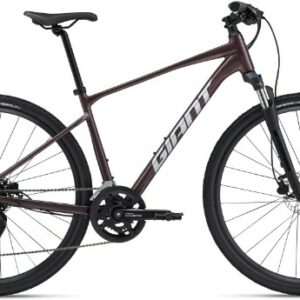 Giant Roam Disc 2