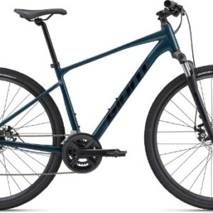 Giant Roam Disc 4