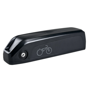 Rad Power Slim Battery Pack (48V
